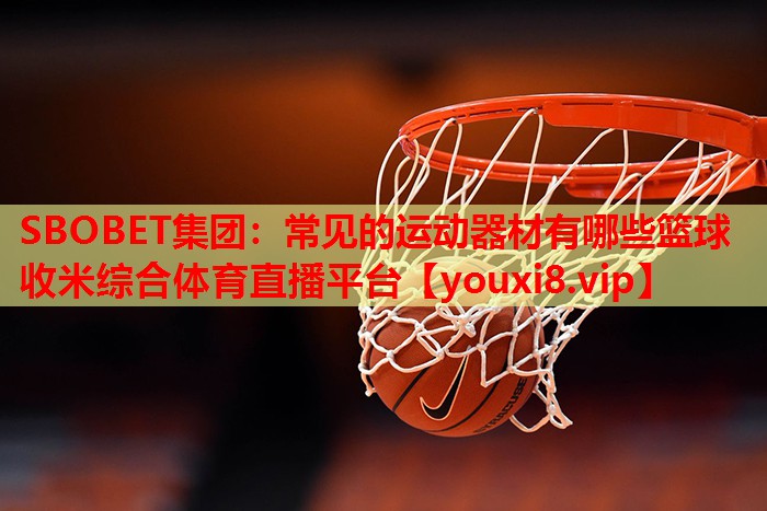 SBOBET集团：常见的运动器材有哪些篮球收米综合体育直播平台