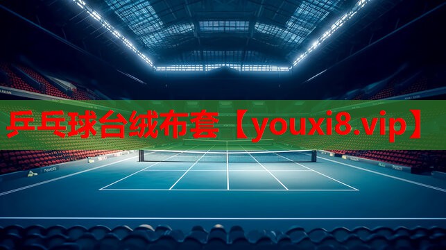 乒乓球台绒布套