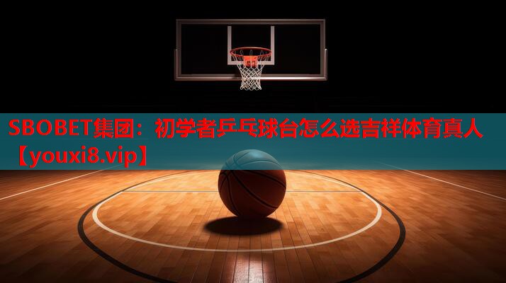 SBOBET集团：初学者乒乓球台怎么选吉祥体育真人