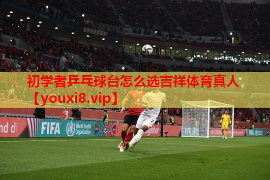 初学者乒乓球台怎么选吉祥体育真人