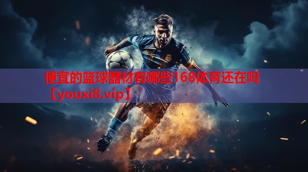便宜的篮球器材有哪些168体育还在吗